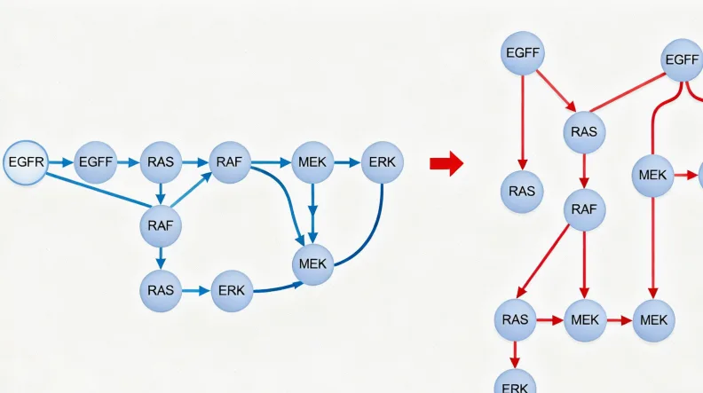 RB1基因“刹车”功能失灵卡通图解