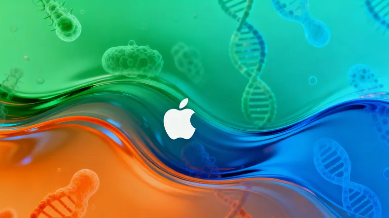 IHC检测HER2蛋白染色强度对比图