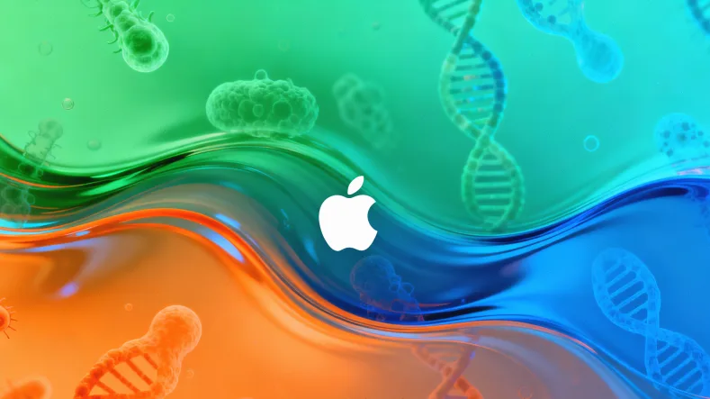 佐妥西单抗抗体结合HER2蛋白阻断信号通路的卡通原理图