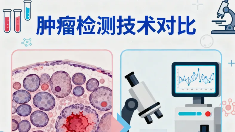 EGFR信号通路正常与异常激活示意图