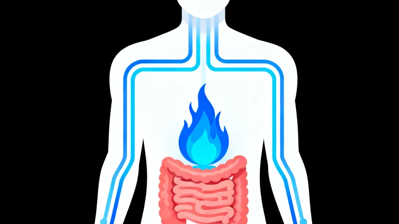 下一代测序（NGS）技术流程简图