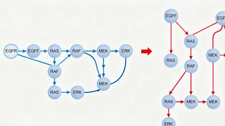肥城结直肠癌基因检测在哪里做(2026年1月更新)