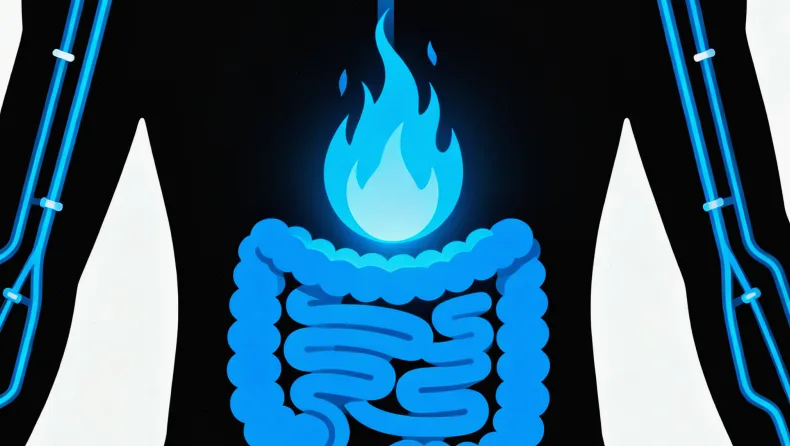 肿瘤组织切片样本处理流程图示