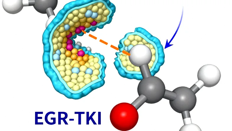 PCR扩增与测序技术流程简图