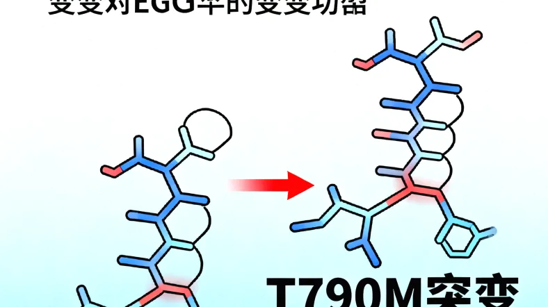 基因检测从采血到报告的流程简图