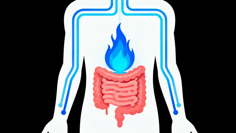 高通量测序(NGS)技术流程简明图解