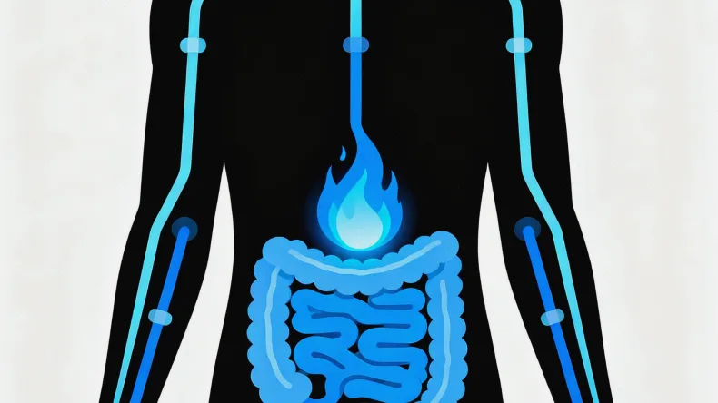 乳腺癌肿瘤组织切片病理图