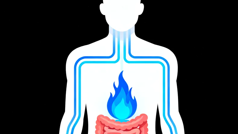 高通量测序技术流程示意图
