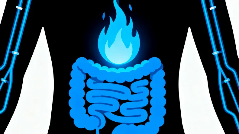 PI3K/AKT/mTOR信号通路示意图