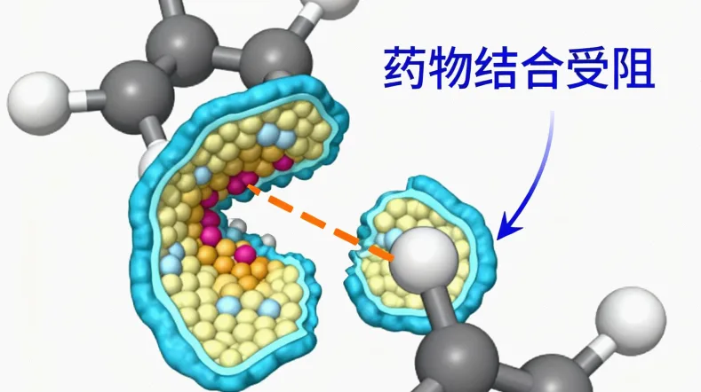 专业人员正在进行静脉血样本采集