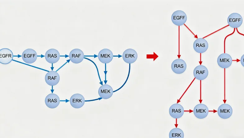 规范的肿瘤组织切片样本采集流程