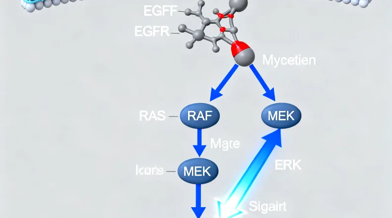 肿瘤组织切片样本处理过程