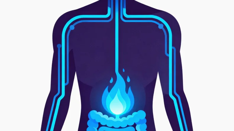 MSI-H检测指导免疫治疗路径简图