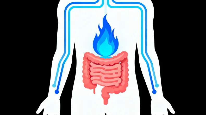 基因检测报告重点内容标注示例