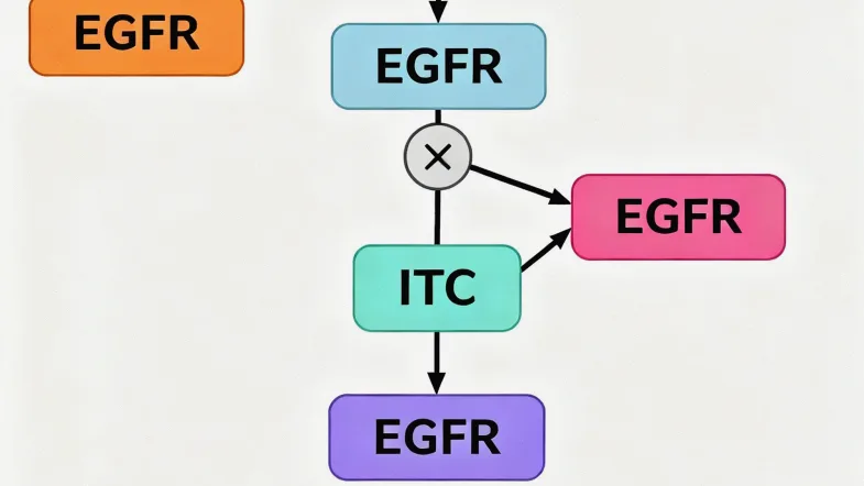 结缔组织在人体各器官中的分布示意图
