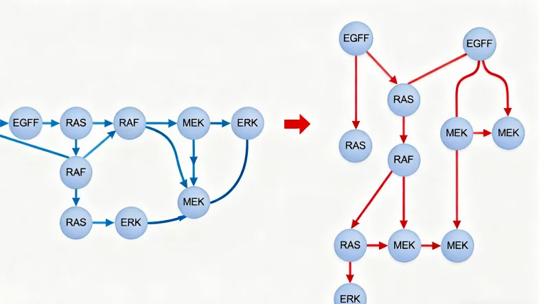 免疫治疗工作原理示意图