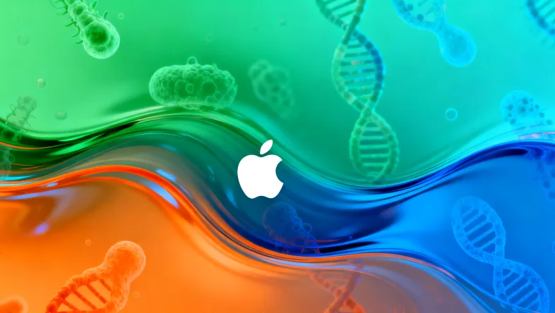 基因检测报告重点部分示例