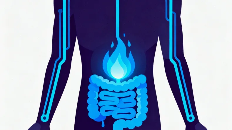 专业人员进行静脉血样本采集操作场景