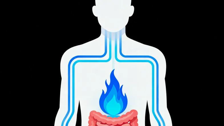 肿瘤组织样本处理流程简图