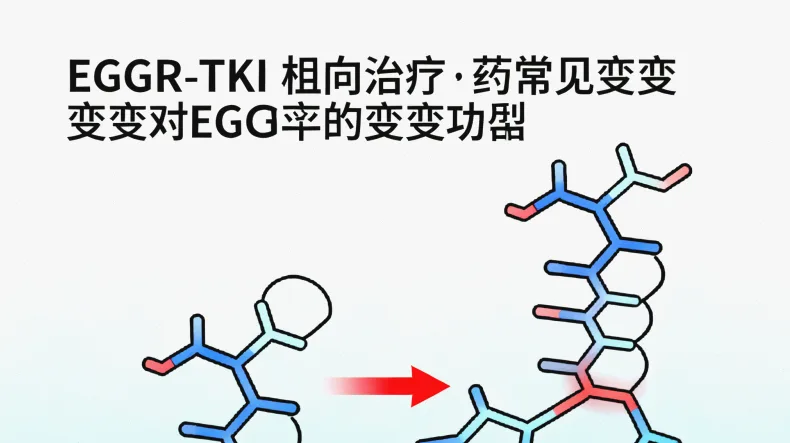 规范的静脉血样本采集操作示意