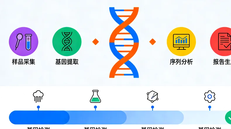 抗肌萎缩蛋白基因结构示意图