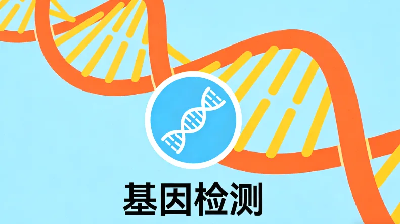 遗传咨询师在办公室内解读基因检测报告图表