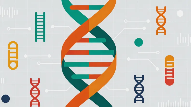 c-MET基因在细胞信号传导中的示意图