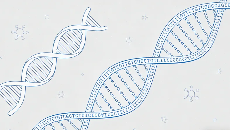 染色体15q11-q13区域示意图