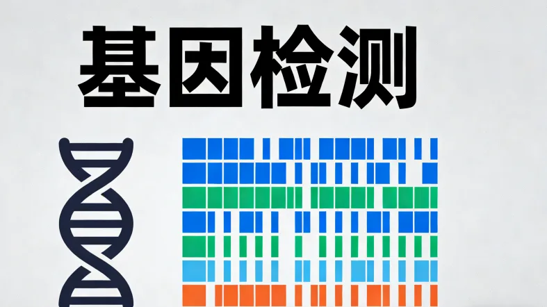 常见耳聋基因GJB2和SLC26A4的染色体位置图示