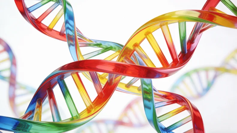 苯丙氨酸代谢通路示意图