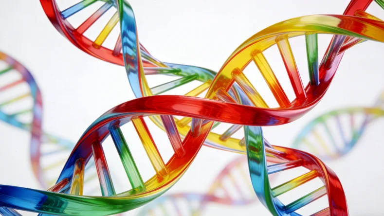 肿瘤组织切片样本采集过程