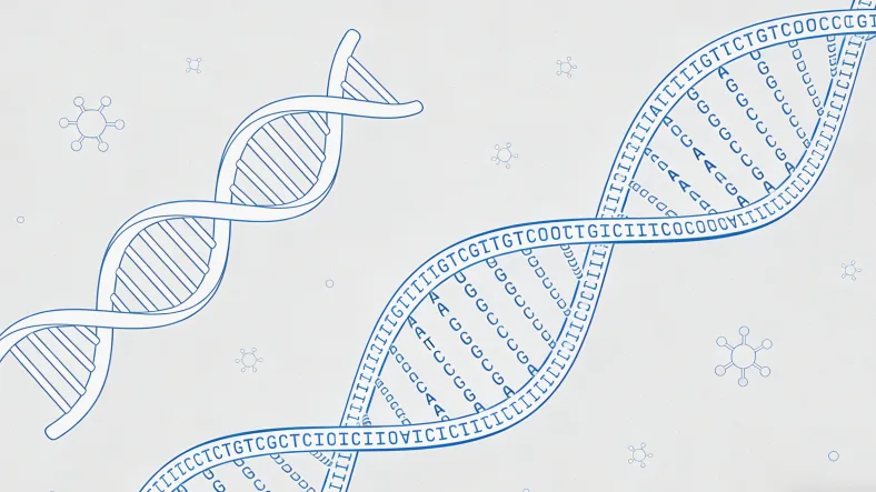 免疫细胞与癌细胞相互作用示意图