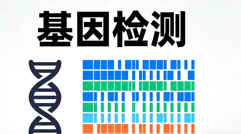 专业遗传咨询师与客户面对面沟通场景