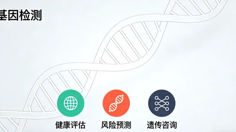 规范的静脉血样本采集过程示意