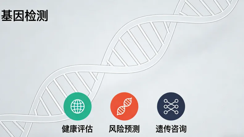 专业遗传咨询师进行一对一讲解场景