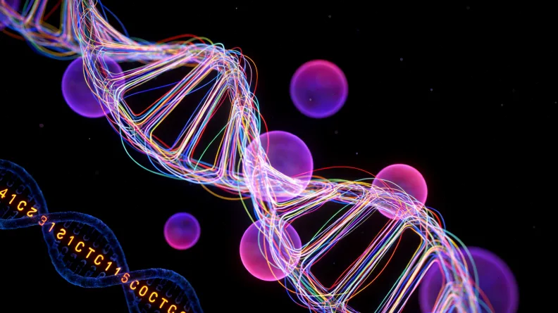 基因检测报告关键部分示例图解