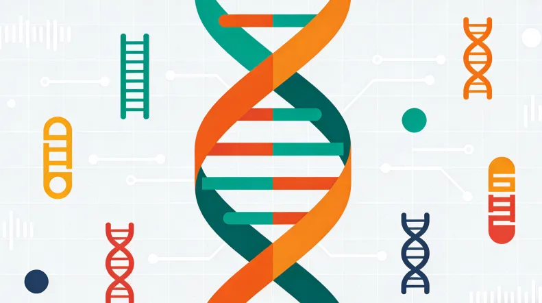 标准无菌静脉血采样过程示意