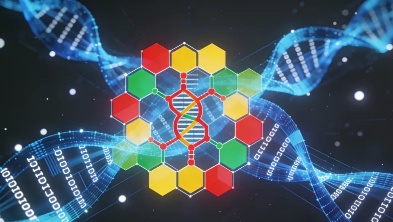 基因检测报告关键部分(如变异分类)示例图解