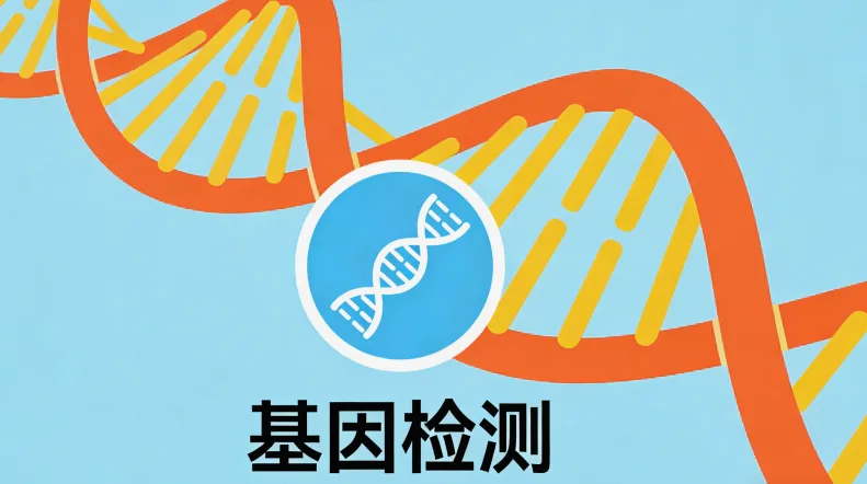 专业顾问在咨询室进行一对一讲解