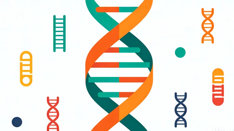 专业顾问与咨询者进行一对一沟通场景