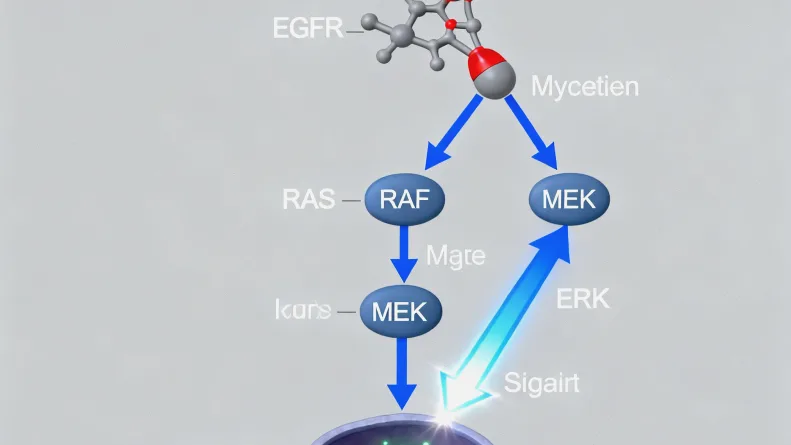 基因检测报告关键信息解读示例图