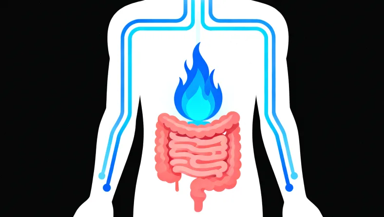 脑膜瘤基因检测从样本到报告的完整流程示意图