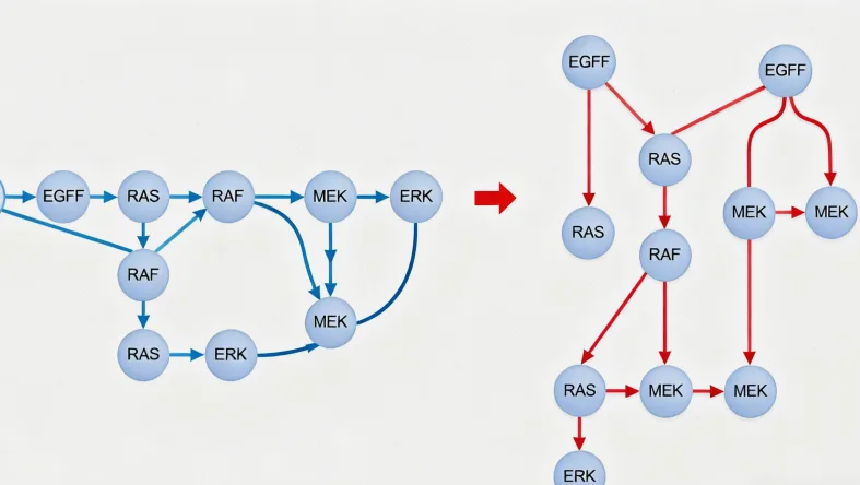 脑膜瘤基因检测核心流程示意图