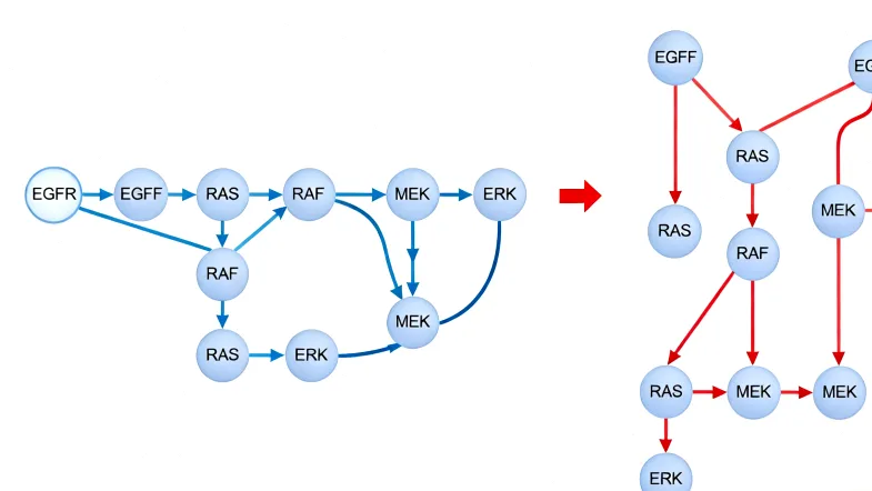 合法医疗机构执业许可证示例