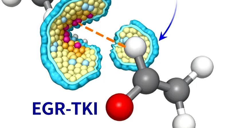 基因检测报告核心部分解读示例