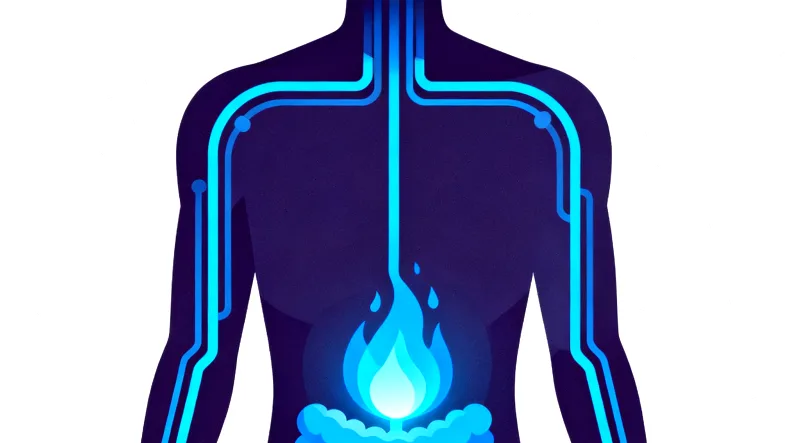 肠癌基因检测全流程示意图