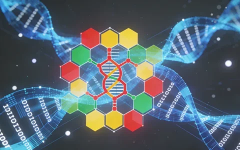 巴音州肝癌基因检测所地址？机构选择与费用说明（附费用参考）