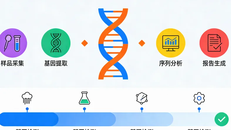 脑胶质瘤基因检测核心项目关系图