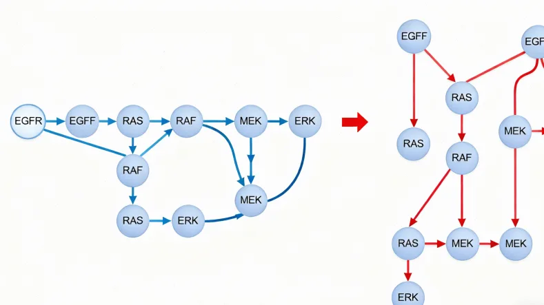 鼻咽位置解剖示意图