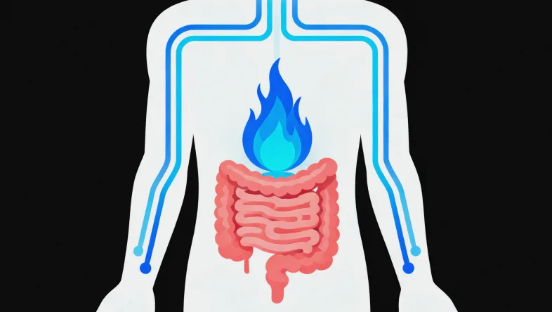 静脉血样本采集标准操作示意